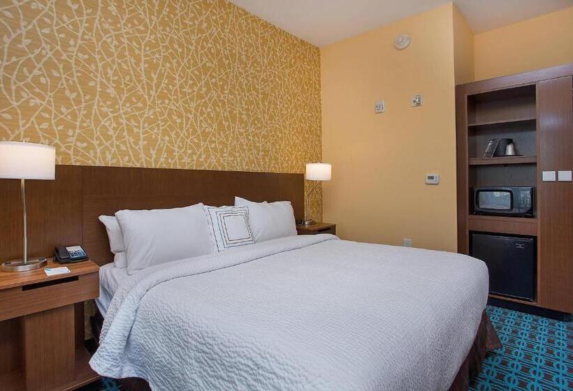 带大床的套房, Fairfield Inn & Suites By Marriott Nashville Hendersonville
