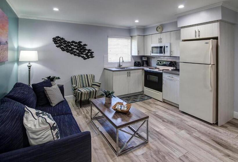 スタンダードスタジオ, Maydee Suites In Florida