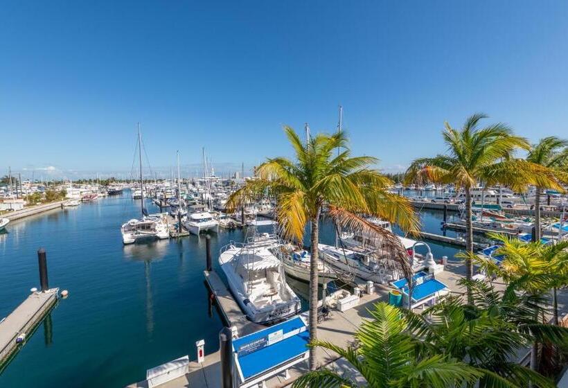 חדר סטנדרט מותאם לאדם עם מוגבלויות, The Perry Hotel & Marina Key West