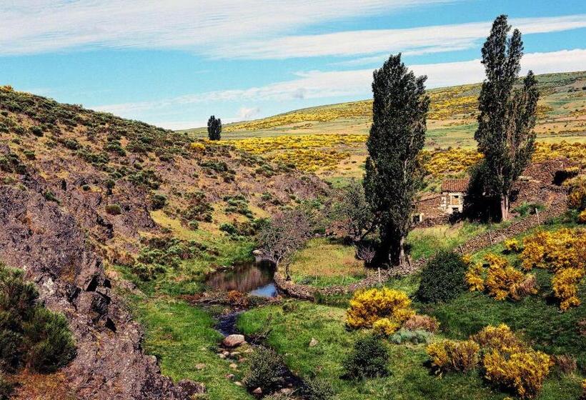 Номер Стандарт, Rural La Dehesilla