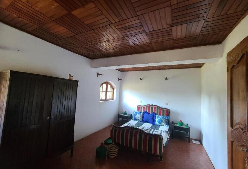 اتاق استاندارد, Louisiana Guest House