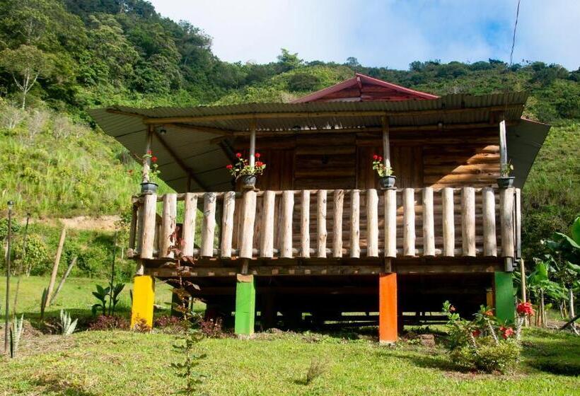 Номер Стандарт, Jardines Del Tatamá