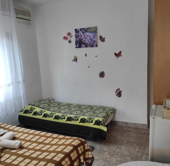 اتاق اکونومی, Guesthouse Planina