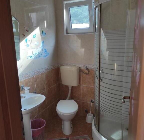 اتاق اکونومی, Guesthouse Planina