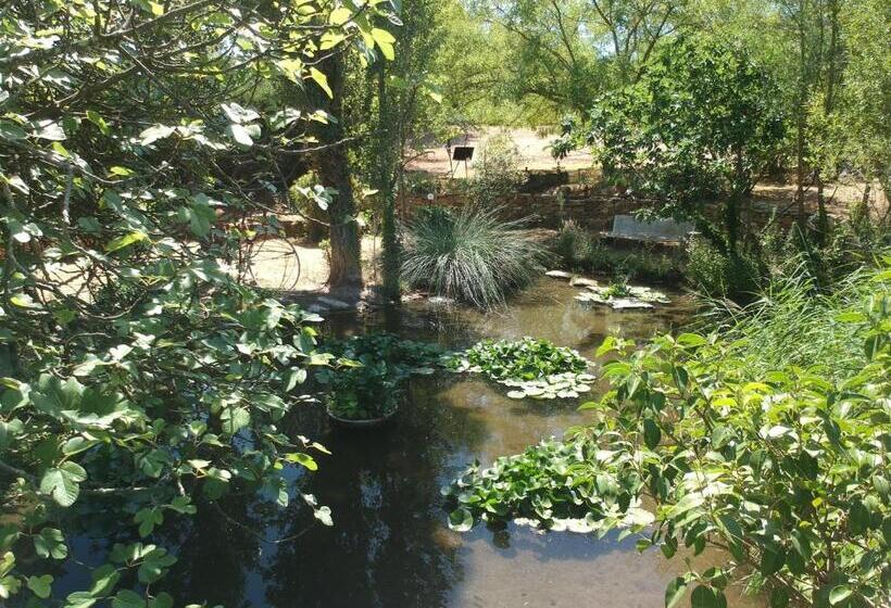 패밀리 룸, Le Fer En Cèze