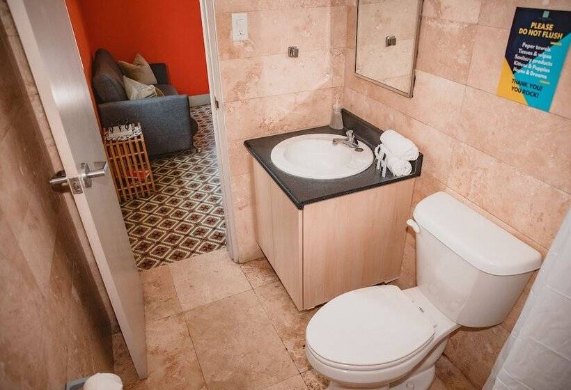 اتاق لوکس, Conturce Hostel
