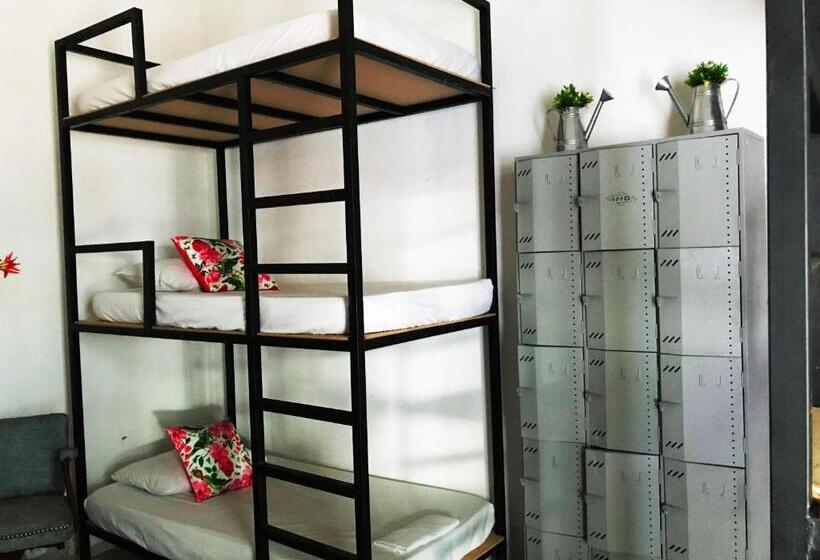 تختخواب در اتاق مشترک, Casa La Bella Samaria Boutique