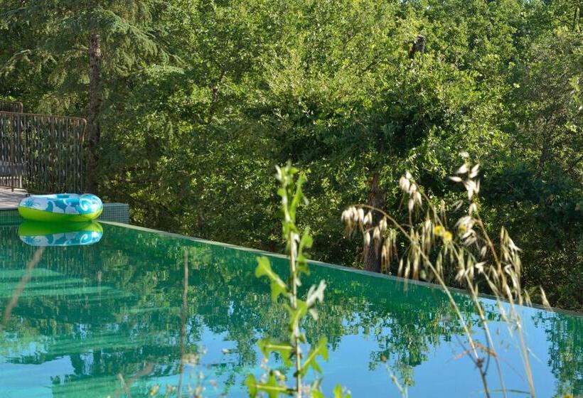 Студио Стандарт Вид на Бассейн, Sous Les Oliviers   Jacuzzi   Studios De Standing Tout équipés