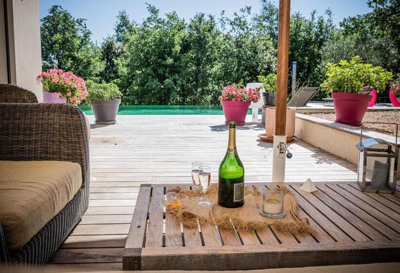 Студио Стандарт Вид на Бассейн, Sous Les Oliviers   Jacuzzi   Studios De Standing Tout équipés