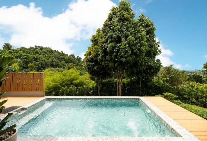 전용 풀장 스위트, Veravian Resort
