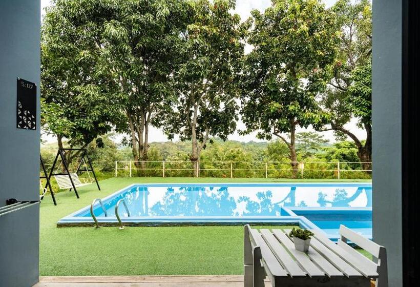풀장 전망 스위트, Veravian Resort