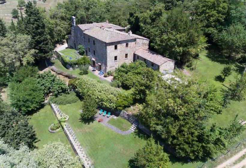 جناح, Fattoria Poggerino