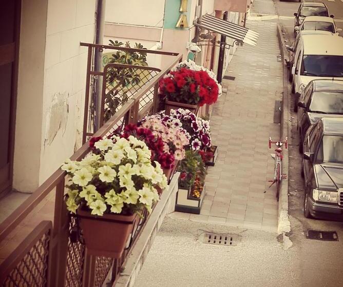 シングルデラックスルーム, Albergo B&b Ristorante Grace