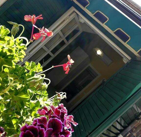 スーペリアシングルルーム, Albergo B&b Ristorante Grace