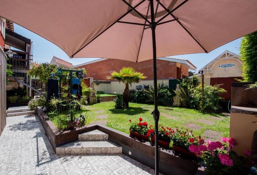 Кровать в Общей Комнате, Villa Zenith Hostel La Surf House