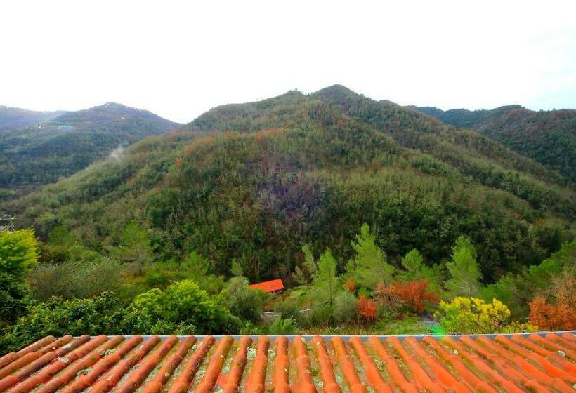 标准间, La Favorita Apricale B&b & Ristorante