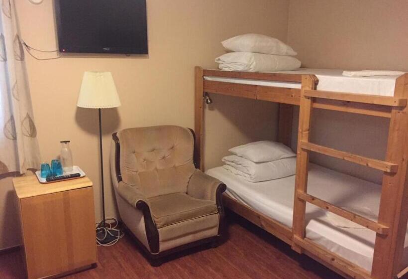 Номер Стандарт Четырехместный Совместный Санузел, Viking Motel