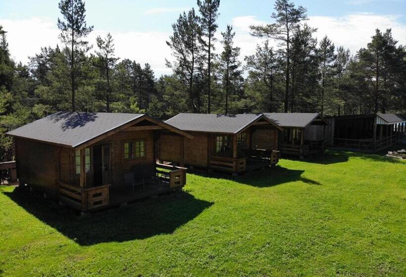 샬레, Viking Motel