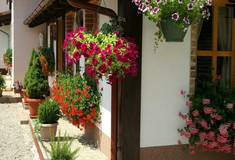 Апартаменты Дюплекс 3 Спальни, Bed & Breakfast Helena