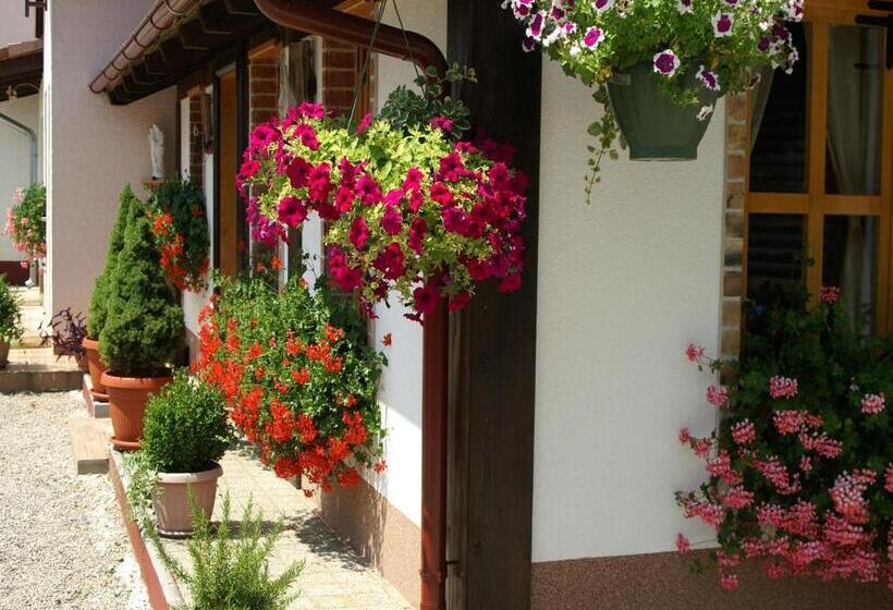 Апартаменты 1 Спальня с Террасой, Bed & Breakfast Helena
