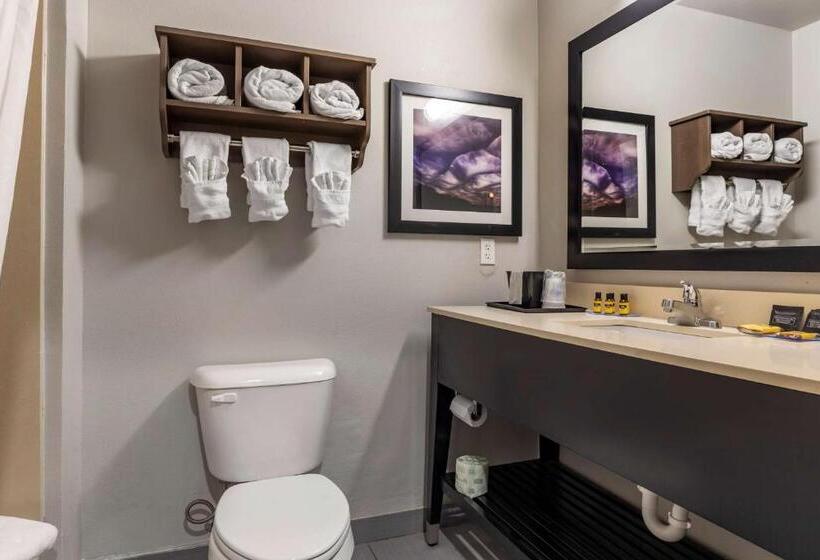 Номер Стандарт 2 Двуспальные Кровати, Best Western Plus Pauls Valley