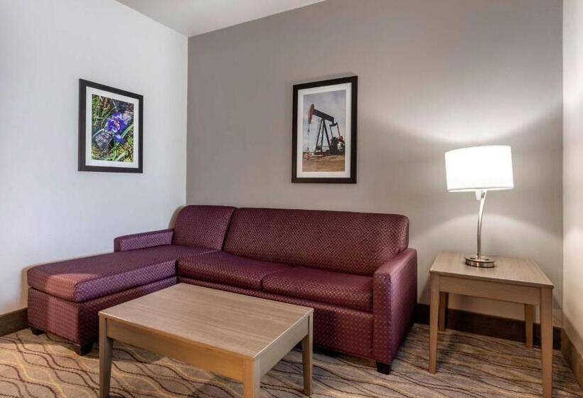 Люкс, Best Western Plus Pauls Valley
