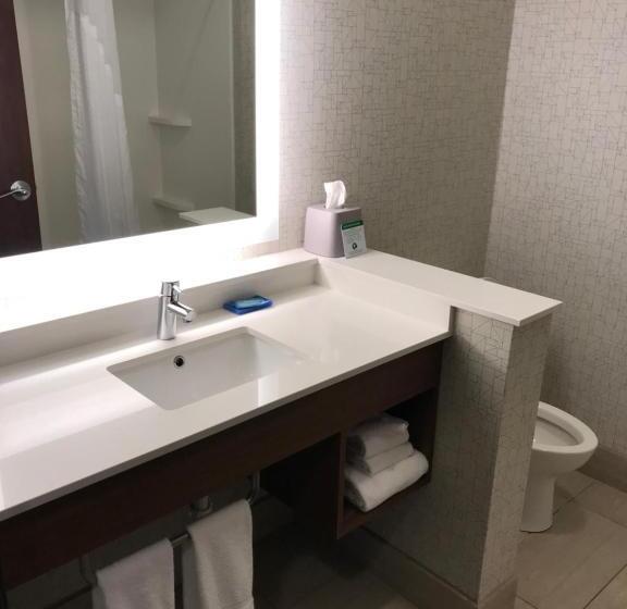 장애인을 위한 스위트, Holiday Inn Express & Suites   Pittsburgh   Monroeville, An Ihg