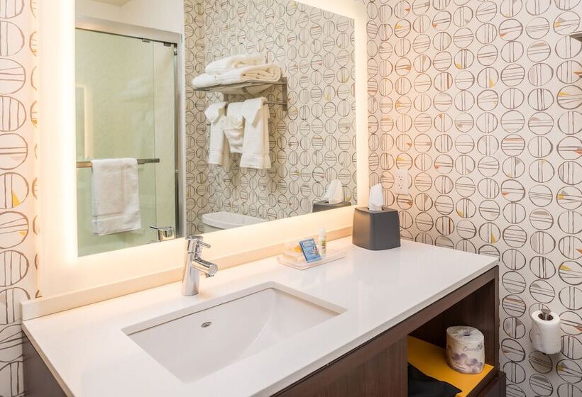 Номер Стандарт Адаптированный для Инвалидов, Holiday Inn Joplin, An Ihg