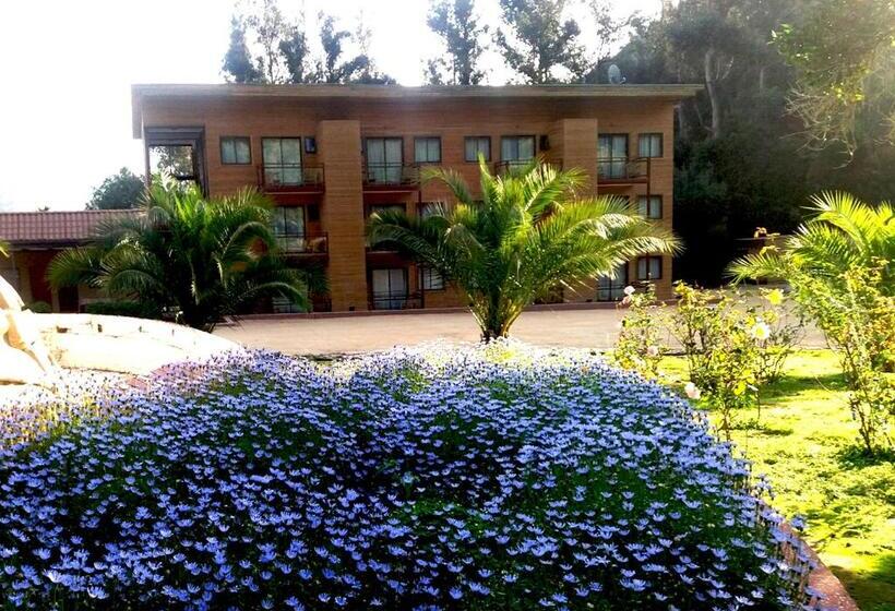 Номер Deluxe, Las Montañas De Olmué Resort & Conference Center