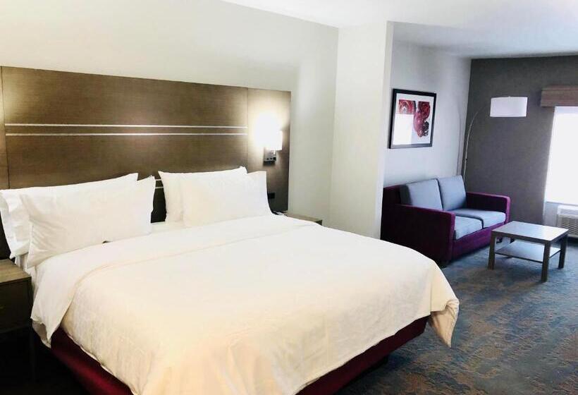 适合残疾人士使用的套间, Holiday Inn Express & Suites Memphis Arpt Elvis Presley Blv, An Ihg
