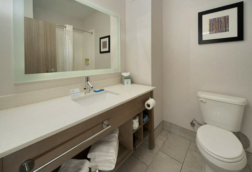 标准间, Holiday Inn Express & Suites Memphis Arpt Elvis Presley Blv, An Ihg