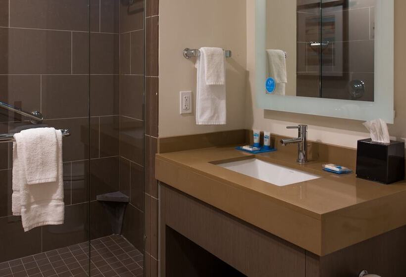 Студия Стандарт Двуспальная Кровать, Hyatt House Naples 5th Avenue