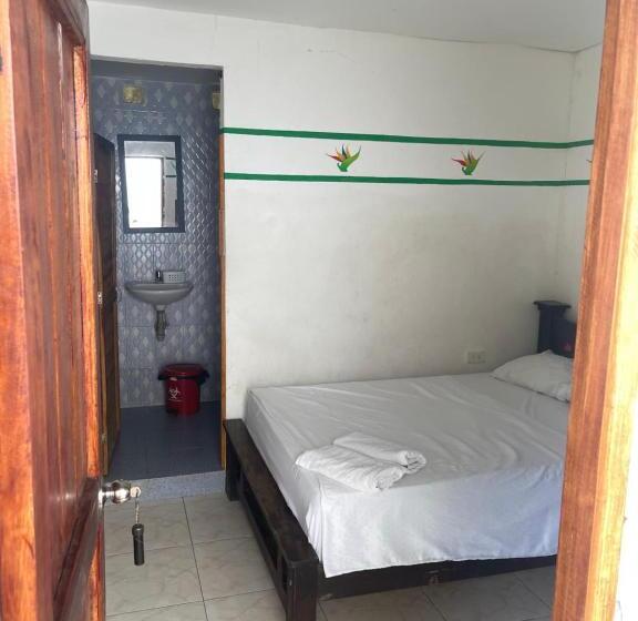غرفة قياسية, Palomino Hostel