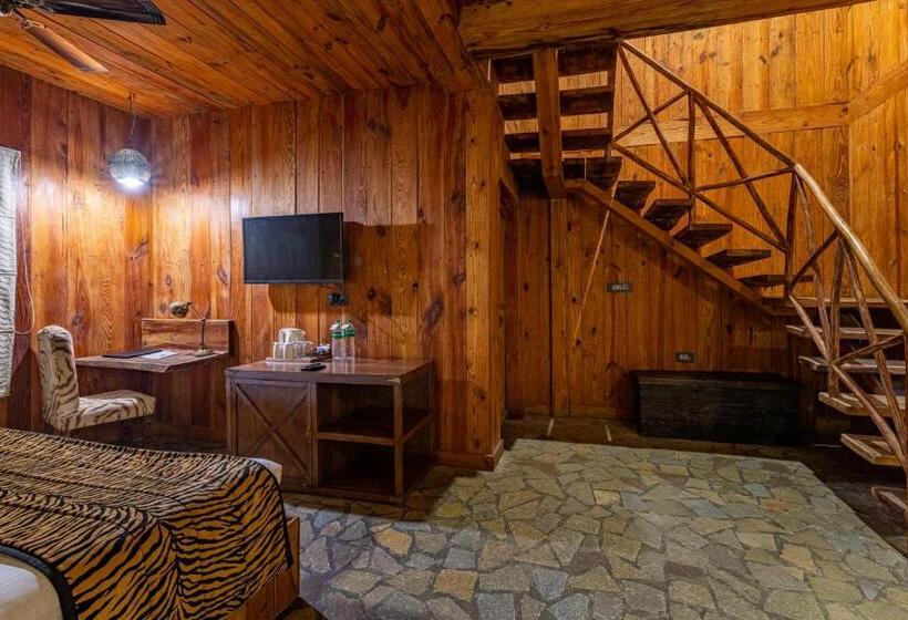标准间带露台, The Baagh Ananta Elite Ranthambore