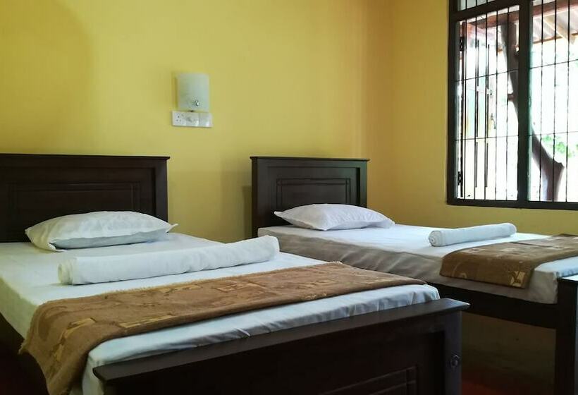 اتاق لوکس سه تخته, Araliya Self Cooking Hostel