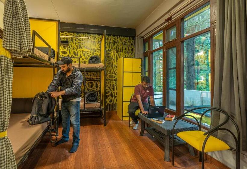공동 객실, The Hosteller Kasol