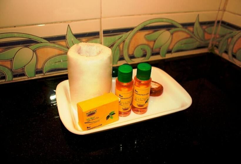 Номер Deluxe, Fabhotel Gazal Residency Mahanagar