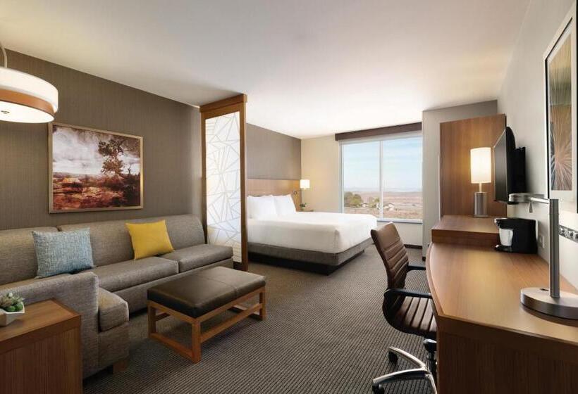 스탠다드 룸 킹사이즈 침대, Hyatt Place Page Lake Powell