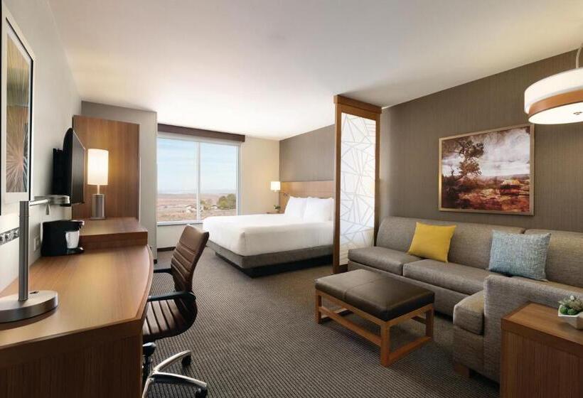 장애인을 위한 킹사이즈 침대 스탠다드 룸, Hyatt Place Page Lake Powell