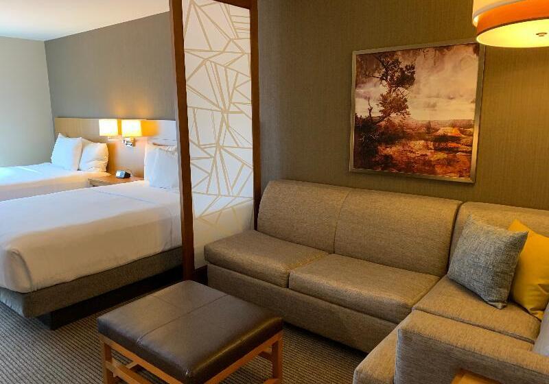 스탠다드 룸, Hyatt Place Page Lake Powell