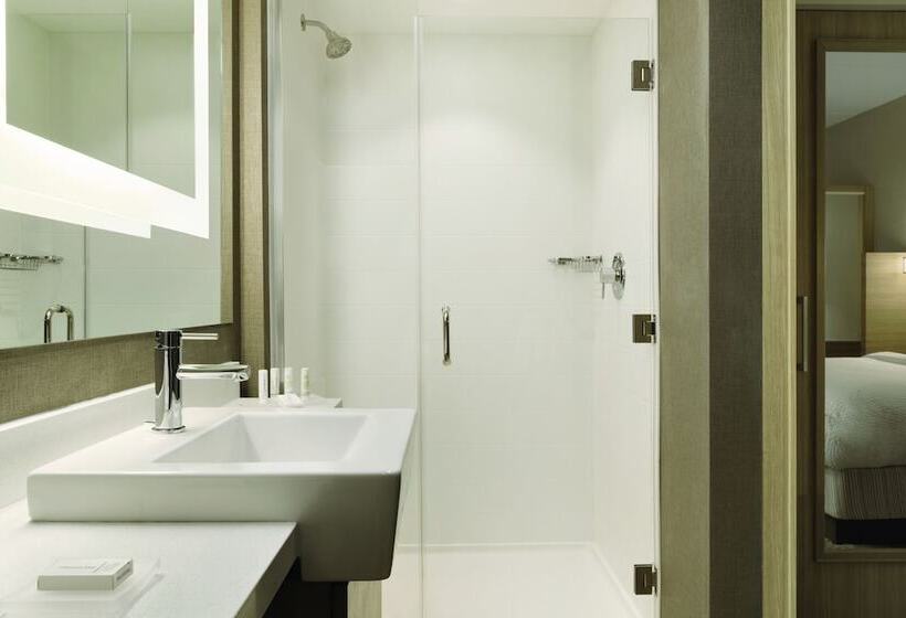 장애인을 위한 스위트, Springhill Suites By Marriott Allentown Bethlehem/center Valley