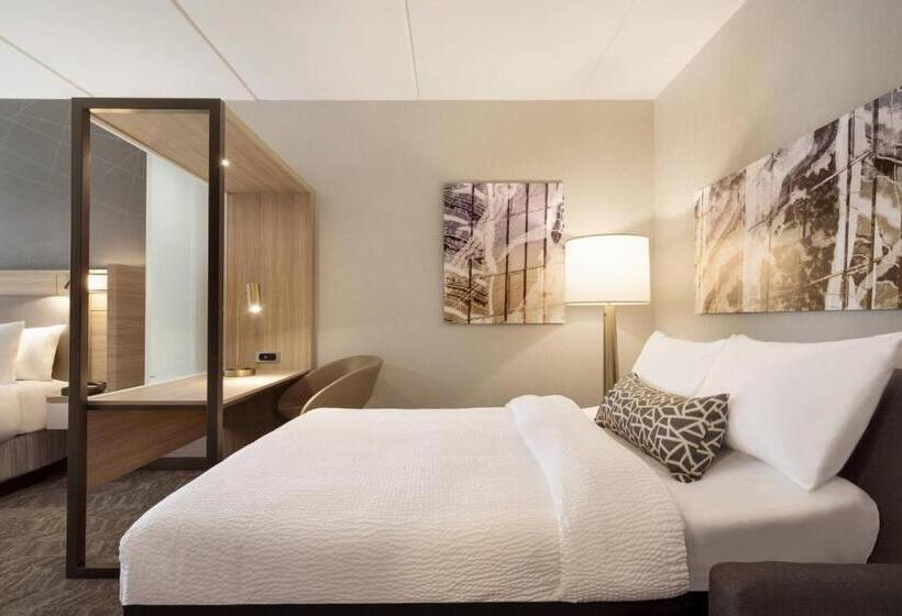 스위트, Springhill Suites By Marriott Allentown Bethlehem/center Valley