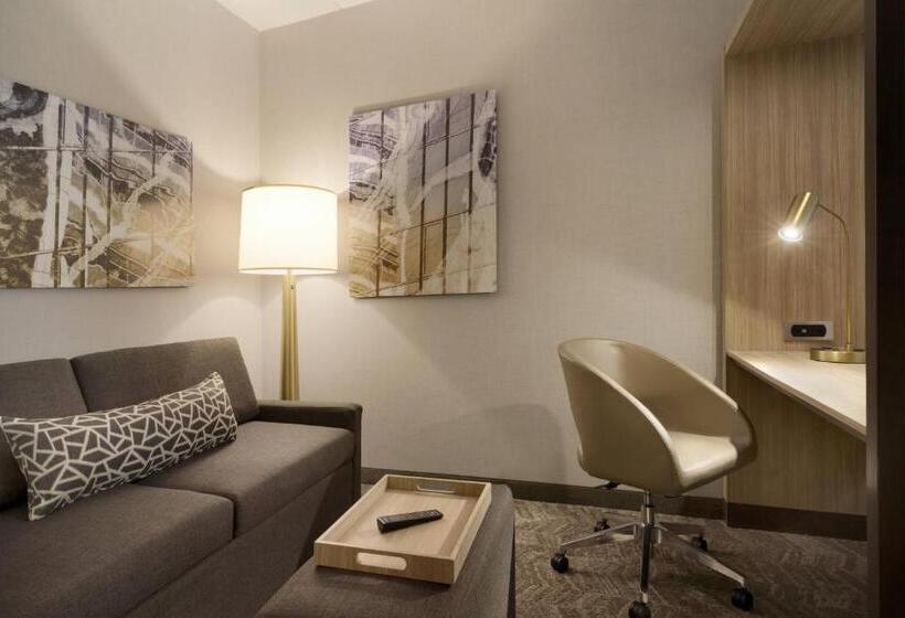 장애인을 위한 스위트, Springhill Suites By Marriott Allentown Bethlehem/center Valley