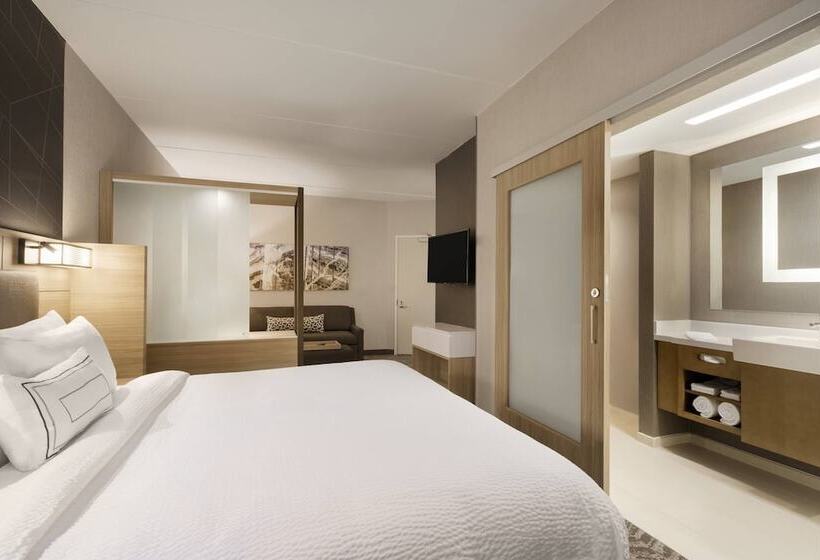 스위트, Springhill Suites By Marriott Allentown Bethlehem/center Valley