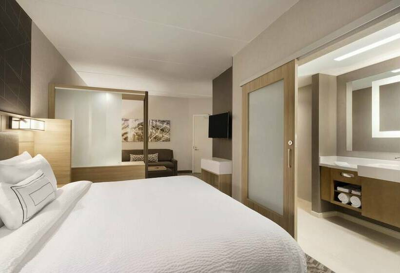 스위트, Springhill Suites By Marriott Allentown Bethlehem/center Valley