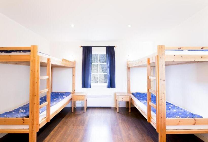 Номер Стандарт Четырехместный Совместный Санузел, Grinda Stugby Och Sea Lodge   Pensionat Med Kost & Logi