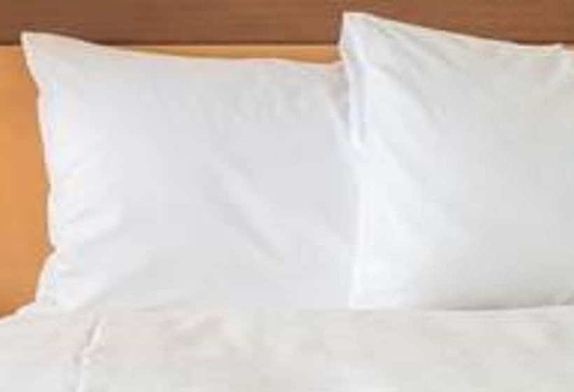 Номер Стандарт, Holiday Inn Express & Suites Sioux City North   Event Center, An Ihg