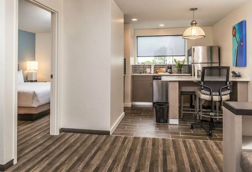 带大床的套房, Hyatt House Raleigh/rdu/brier Creek