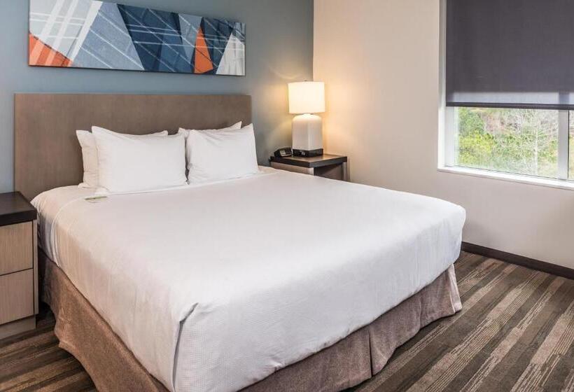 带大床的标准工作室, Hyatt House Raleigh/rdu/brier Creek