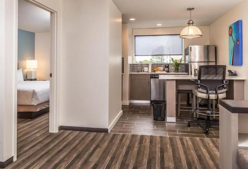 带大床的套房, Hyatt House Raleigh/rdu/brier Creek